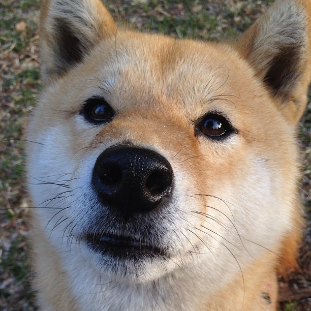 开云体育官方-【超智能球场】未来场馆或配备全方位监测与互动系统，智能化篮球场