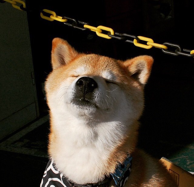 开云 官网 入口-佛罗伦萨长传战术奏效，赢得比赛，佛罗伦萨duomo