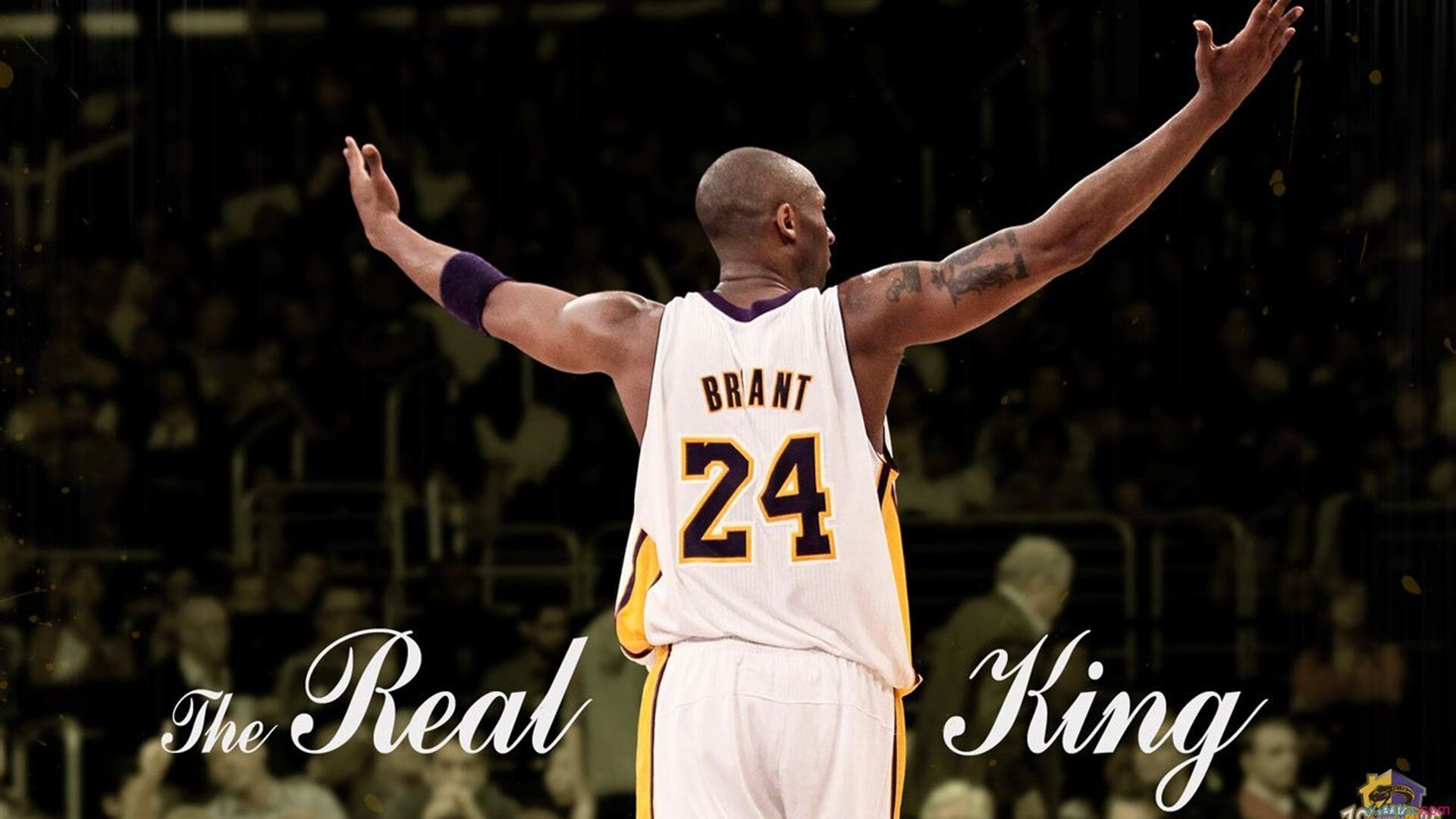 历史经典：F1最经典的冠军战，f1历届冠军